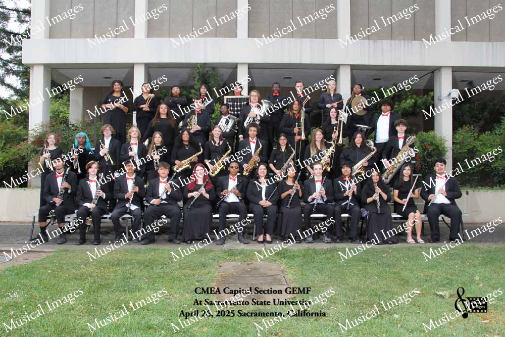 Musical Images